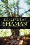 Elemental Shaman