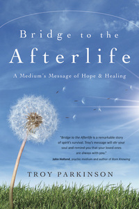 Bridge to the Afterlife, by Troy Parkinson