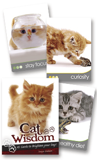 Cat Wisdom Cards, by Tanya Graham