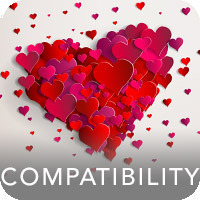 The Compatibility Report, by Llewellyn