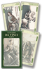 Leonardo DaVinci Tarot