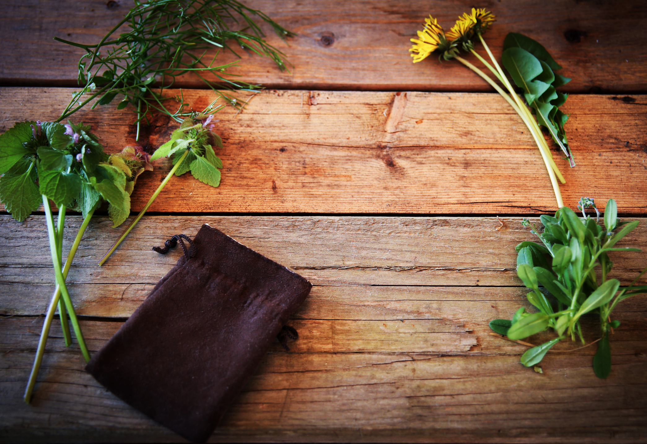 Wildblumen und Hexerei, Buch der Schatten