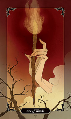 Ace of Wands