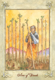 Nine of Wands