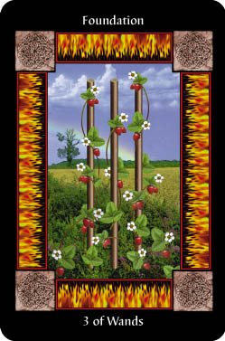 3 of Wands