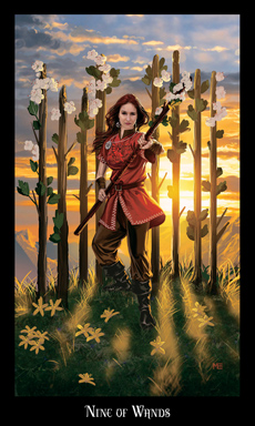 Nine of Wands
