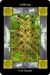 9 of Swords