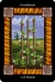 3 of Wands